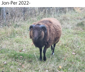 Jon-Per 2022-x.jpg